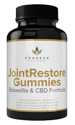 Joint Restore Gummies single bottle