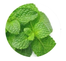 Pure Peppermint Oil